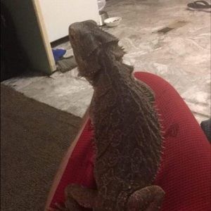 Meet your Posher, Eric